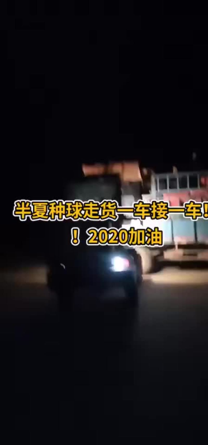 出售河北自产自销优质小叶半夏种苗，质量保证，品种优良
