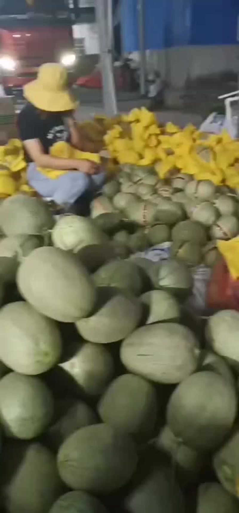 大量供应海南哈密瓜，实力代办代收