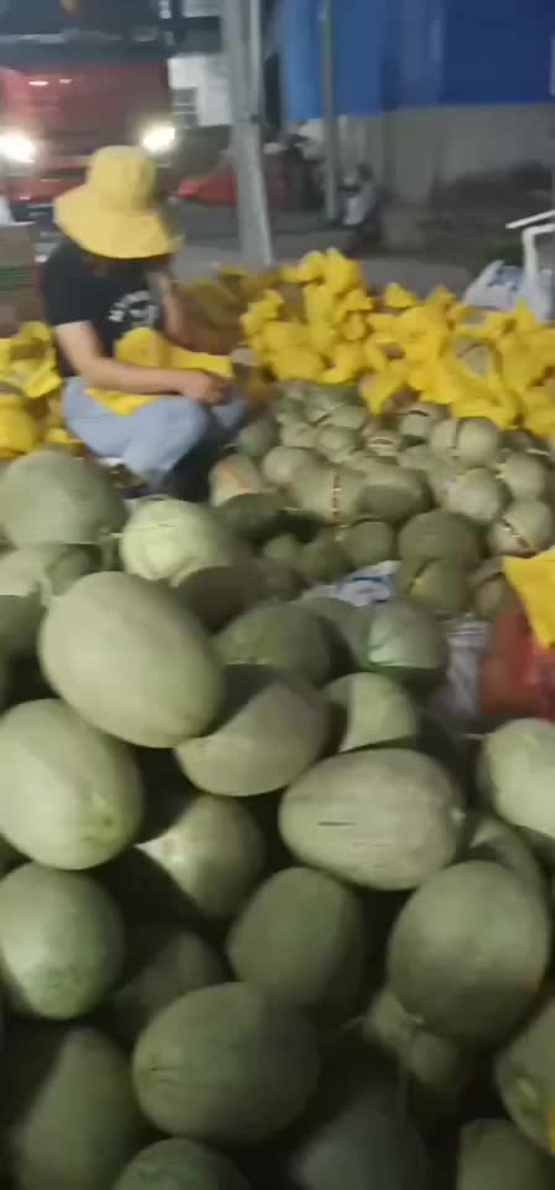 大量供应海南哈密瓜，实力代办代收