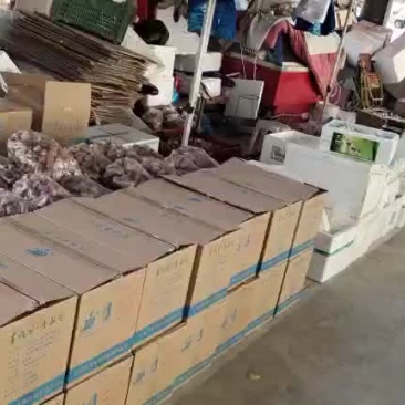 金针菇