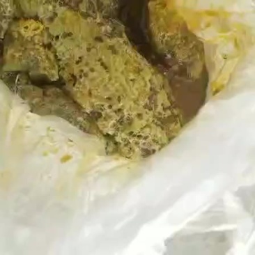 小草蜂