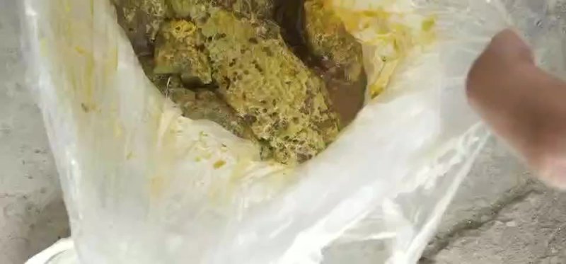 小草蜂