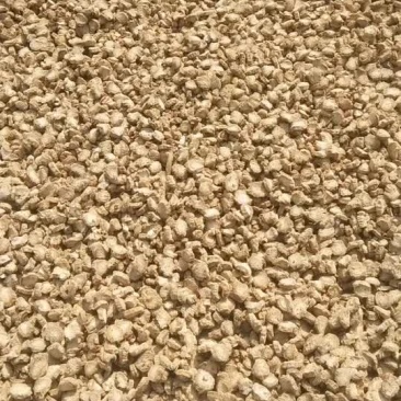 精品黄金牛蒡圆片