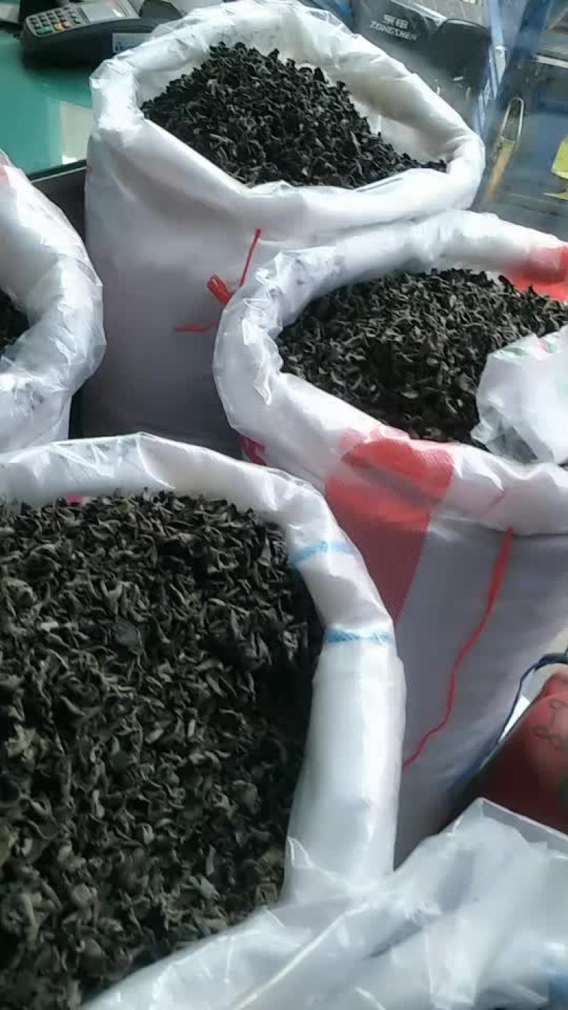 东北黑秋耳