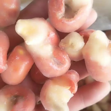 特级龙虾尾