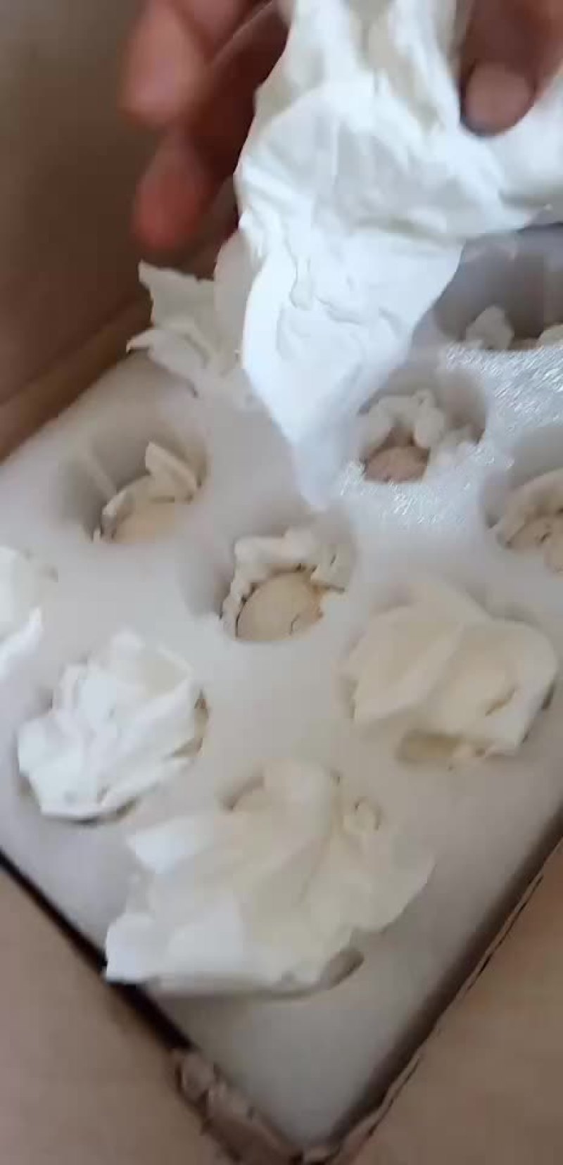 禽畜牧蛋肉，各种珍禽蛋