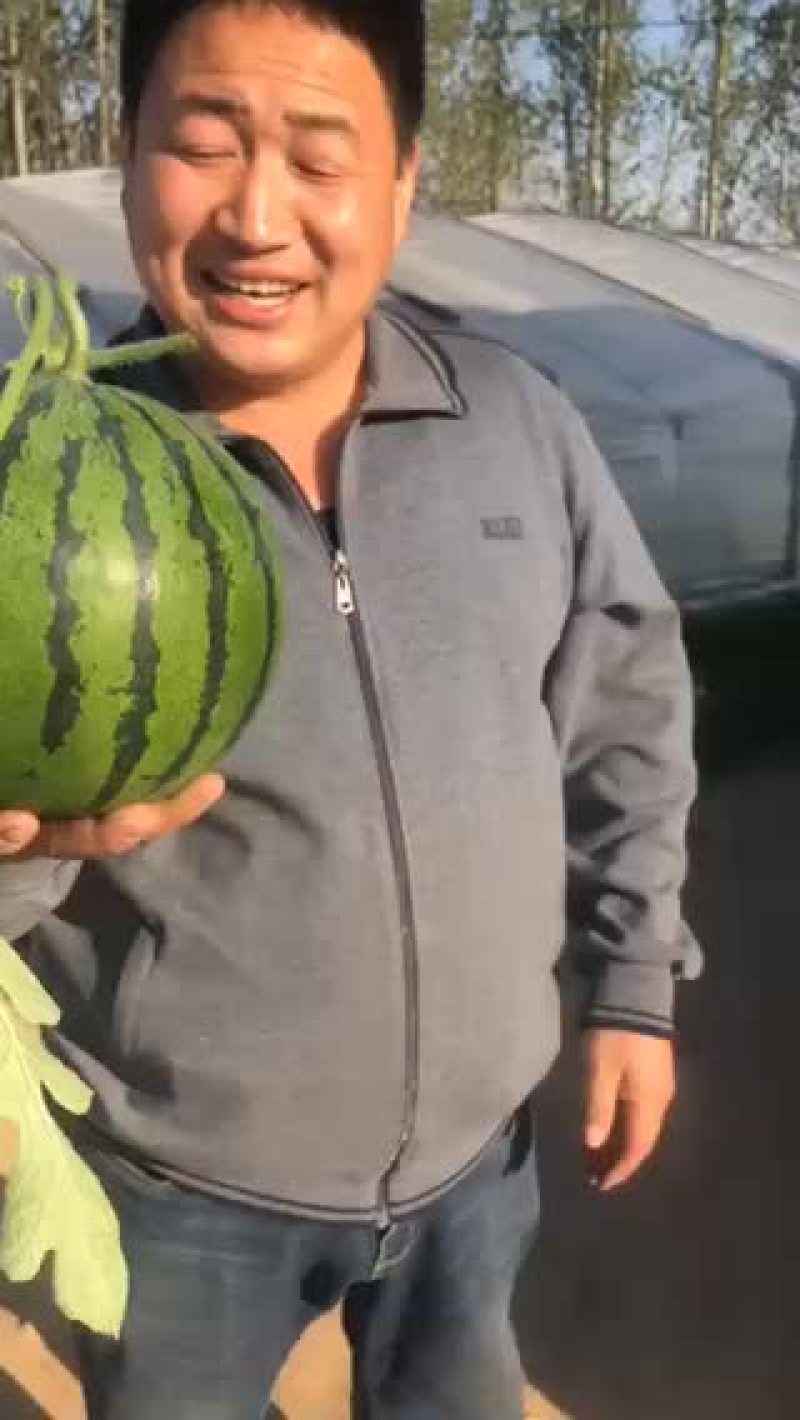 山东大棚甜王，持续落价中