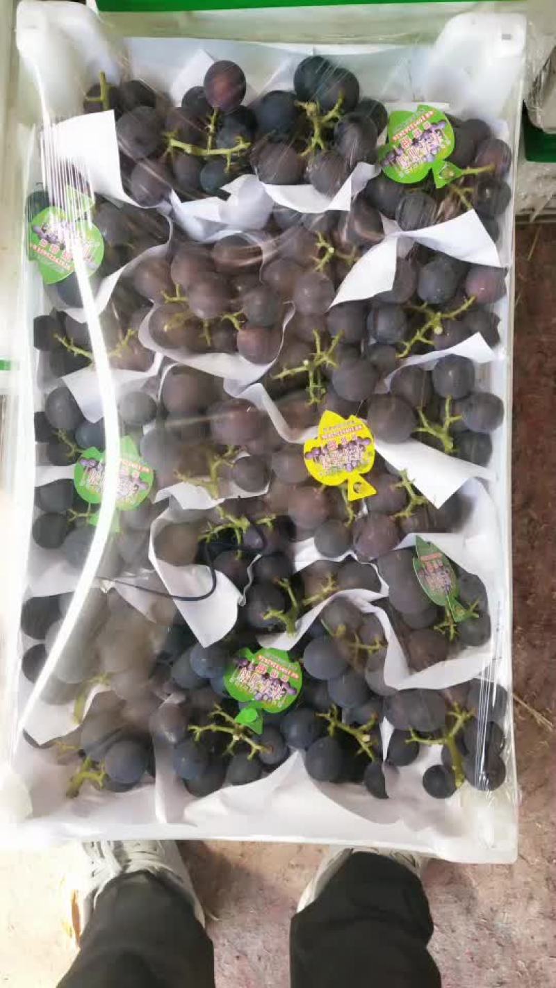 葡萄大量上市啦，