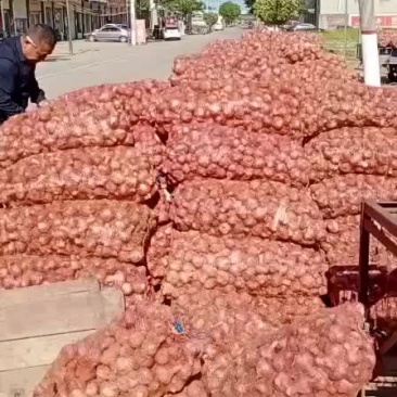 大蒜