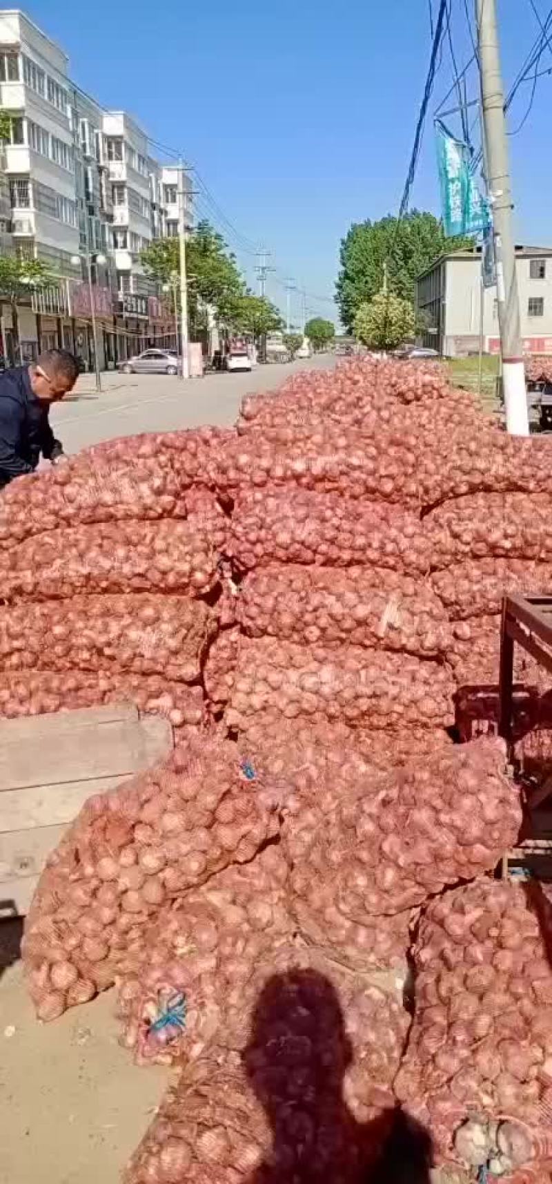 大蒜