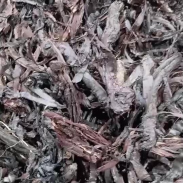 紫草中药材新疆软紫草粉香料调料卤料熬红油辣椒油紫草油膏