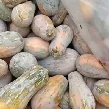 南瓜