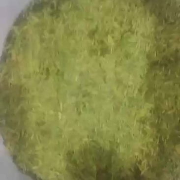 高山龙井