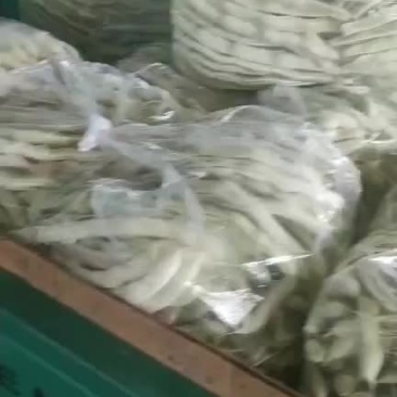 白大架样多