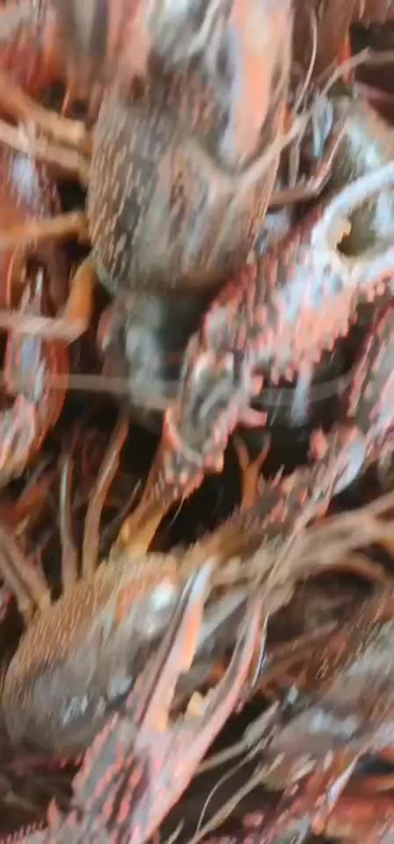 盱眙龙虾
