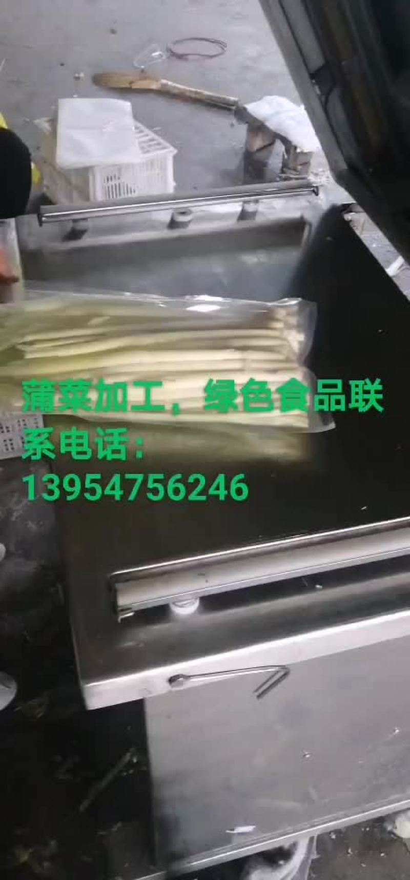 微山湖蒲菜真空包装加工