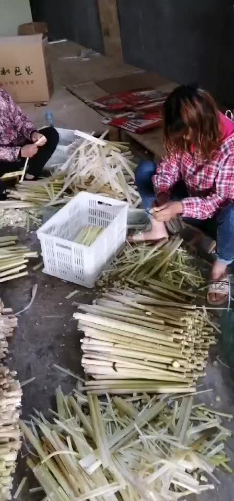 微山湖蒲菜真空包装加工