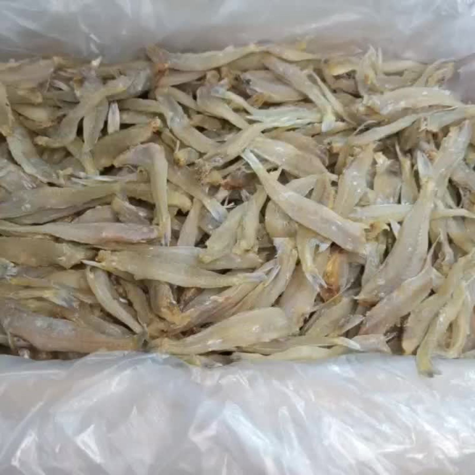 [沙尖鱼批发]【沙尖鱼】厂家直销淡口沙尖鱼去头沙丁鱼干一手货源价格