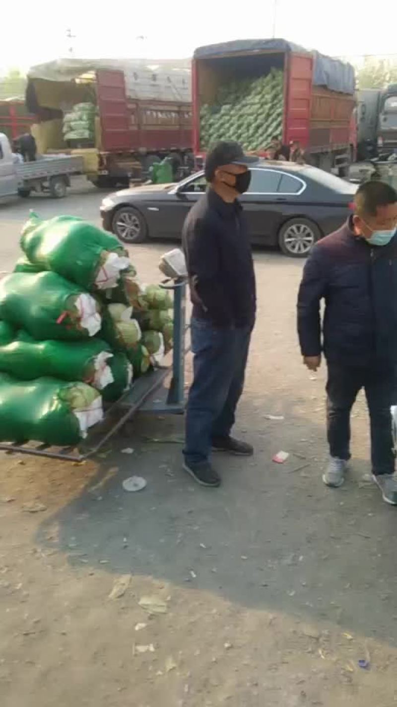 代卖代购各种疏菜水果