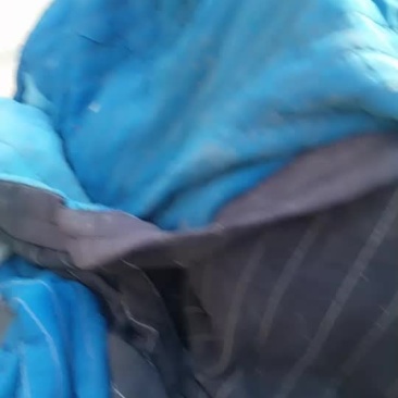代卖代购各种疏菜水果