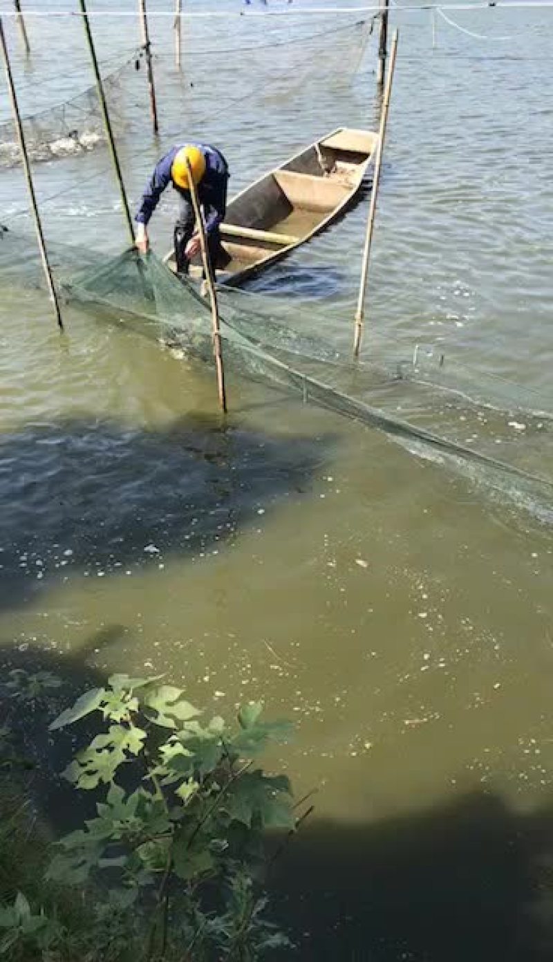 重庆市潼南区前进三星桥水库养殖场