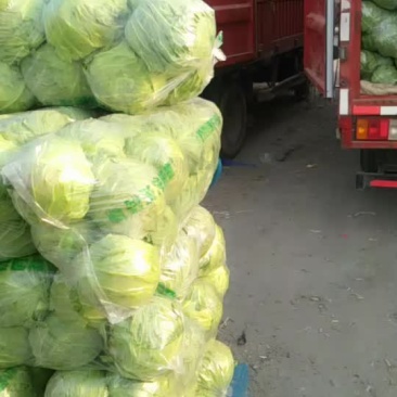 代卖代购各种疏菜水果