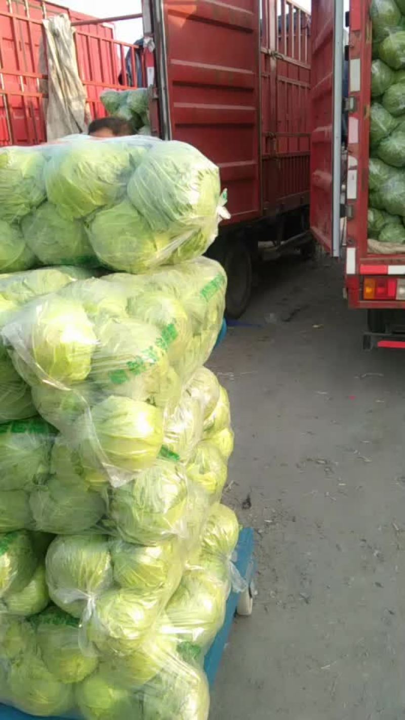 代卖代购各种疏菜水果