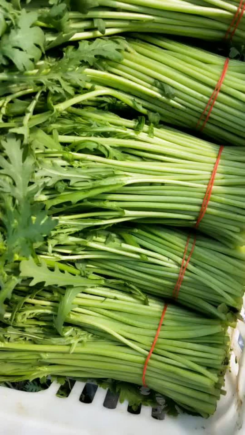 江苏南通通州区茼蒿 1.00元/斤蒿子秆精品 大量