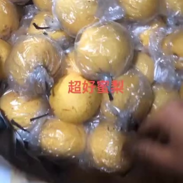 河北农家野生新鲜蜜梨酥脆可口多汁美味