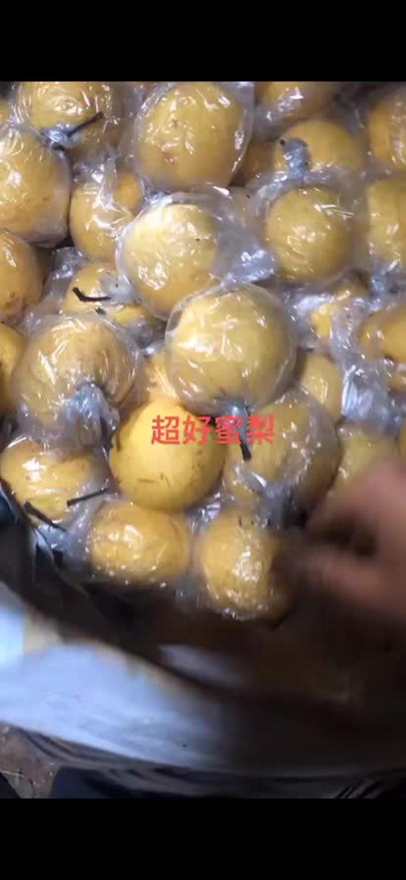 河北农家野生新鲜蜜梨酥脆可口多汁美味