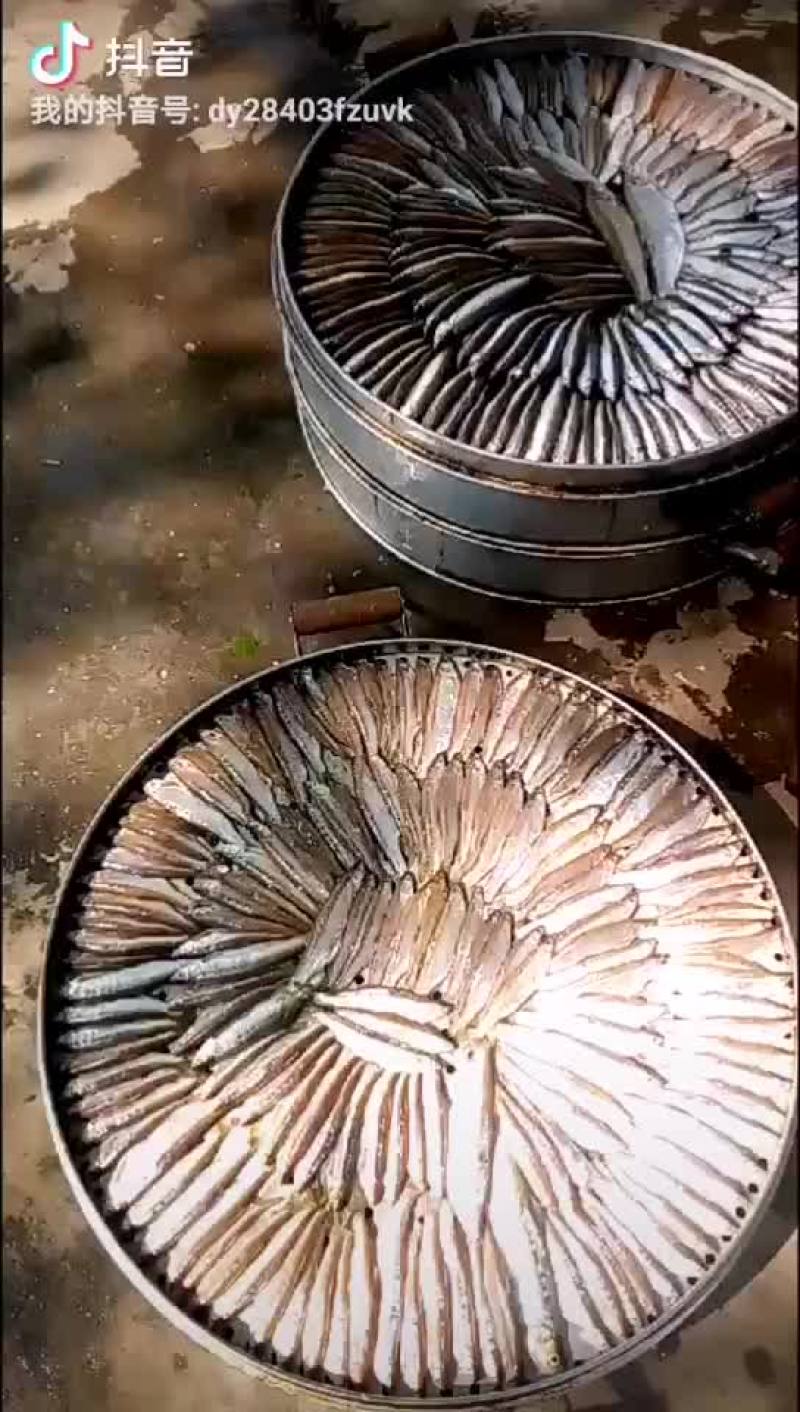 河鱼干白条餐条烟熏鱼干
