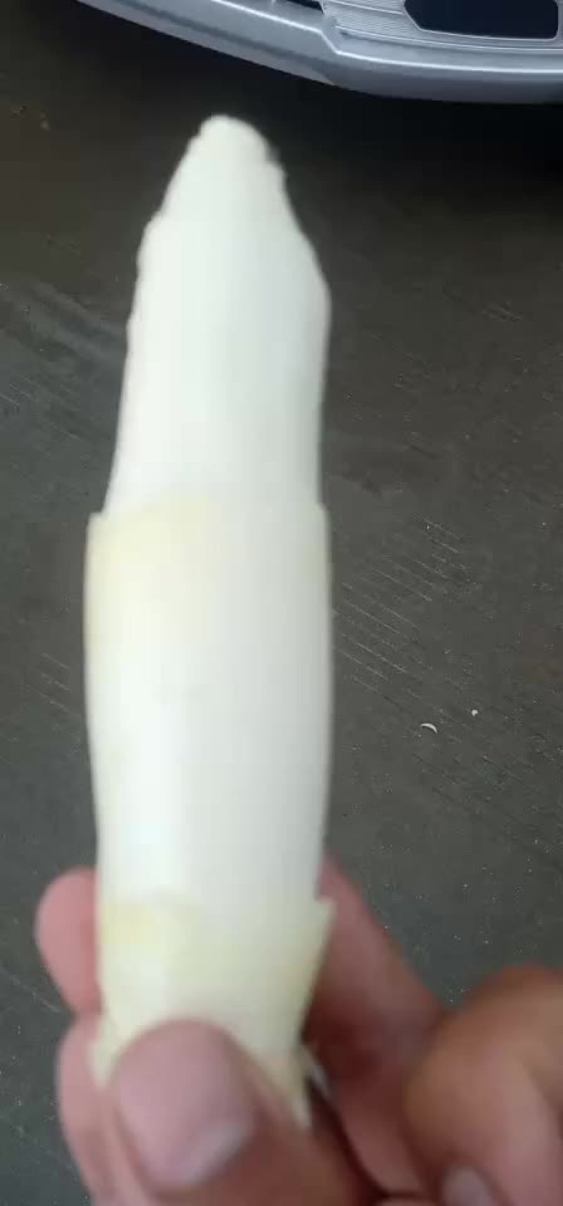 茭白