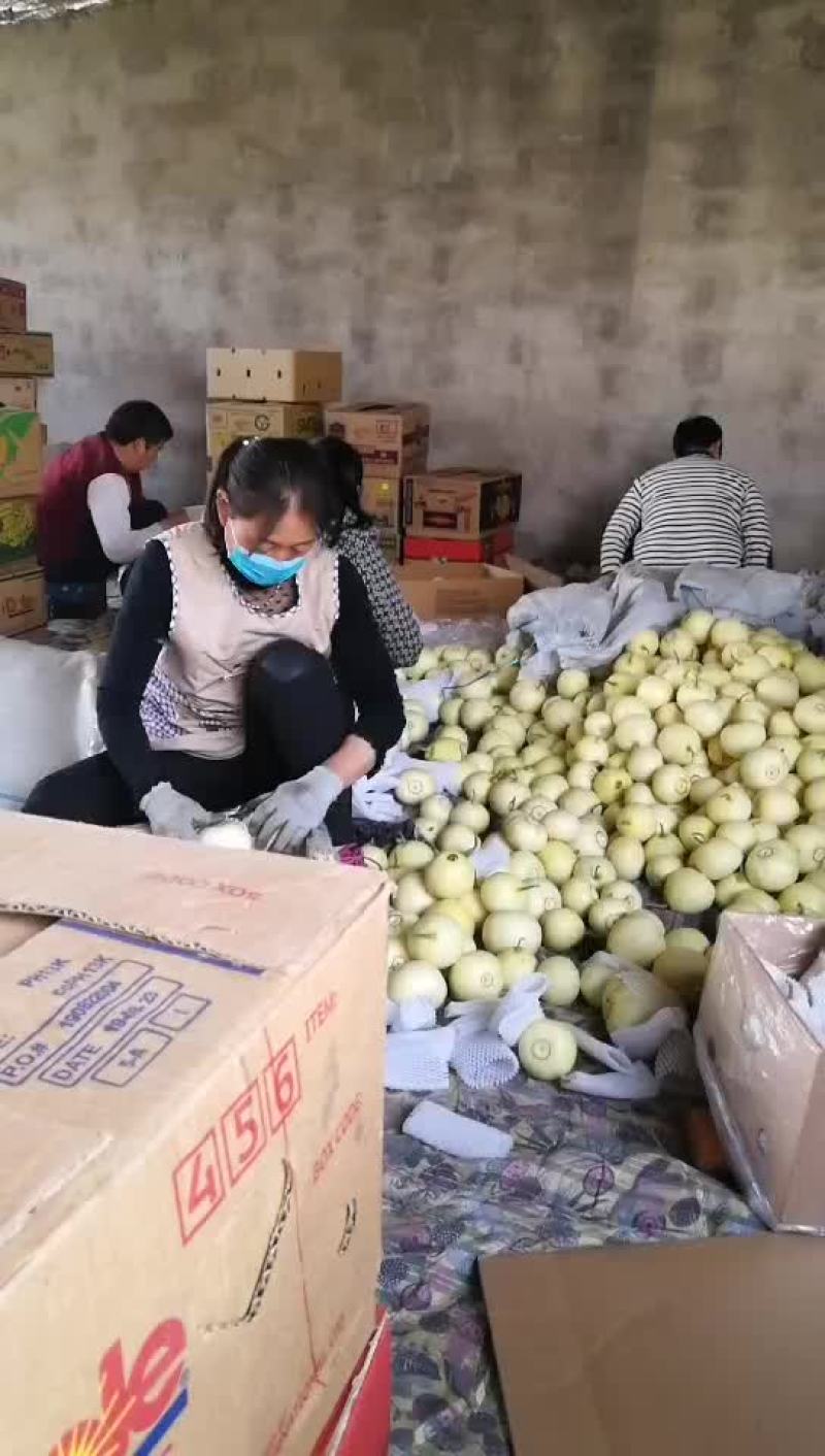瓜果类