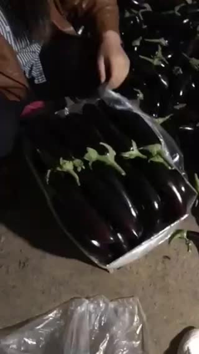 烧烤茄