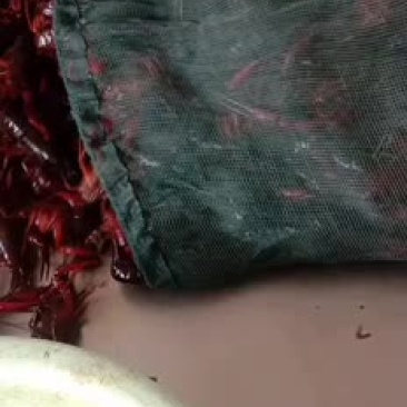 微山湖小龙虾