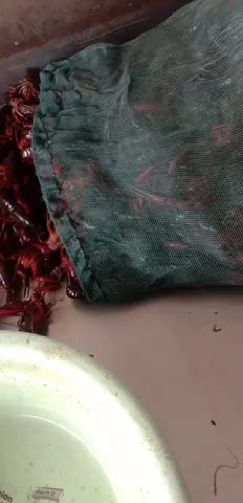 微山湖小龙虾