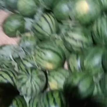 西瓜