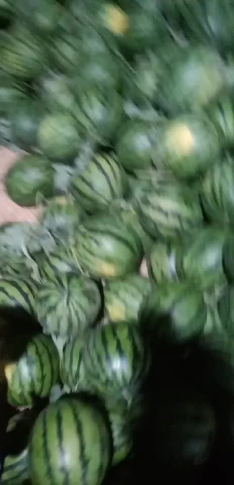 西瓜