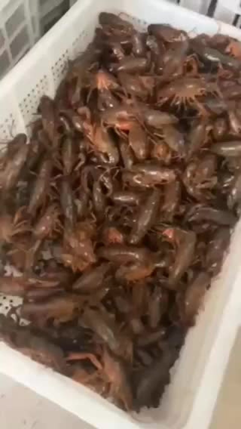 潜江小龙虾
