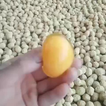 河南五香变蛋速成鸡皮蛋