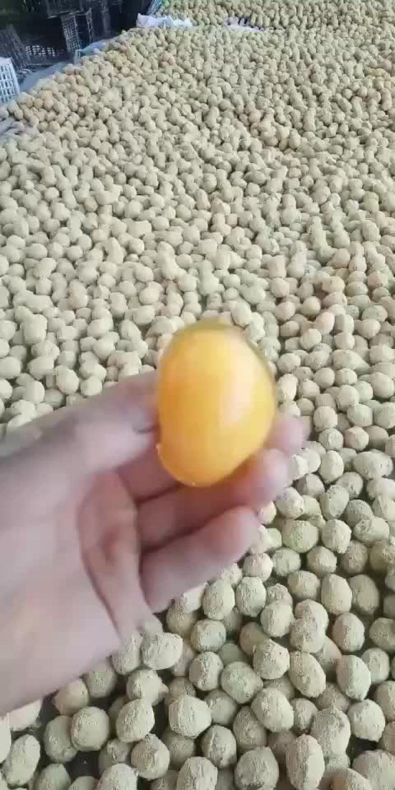河南五香变蛋速成鸡皮蛋
