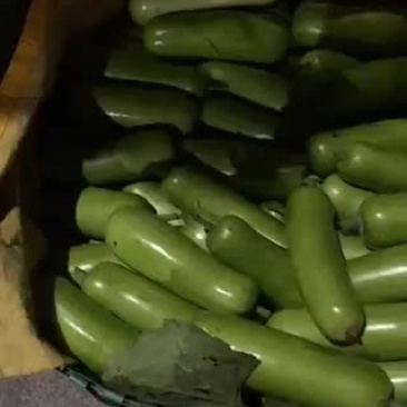 瓠瓜