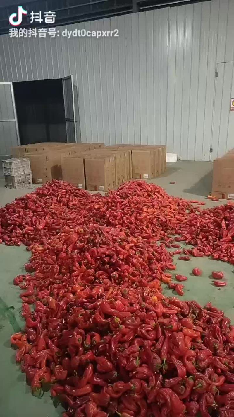 红椒
