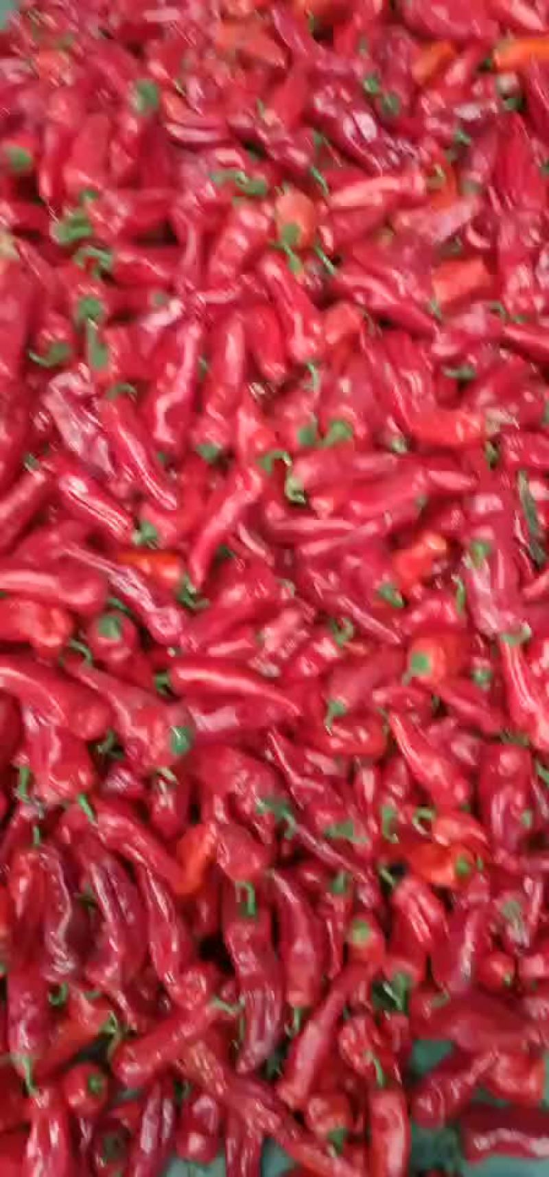 红椒