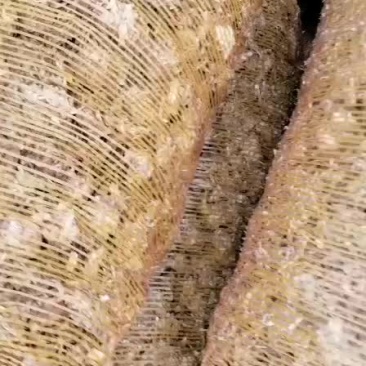 玉米秸秆草球大量出售玉米秸秆草球