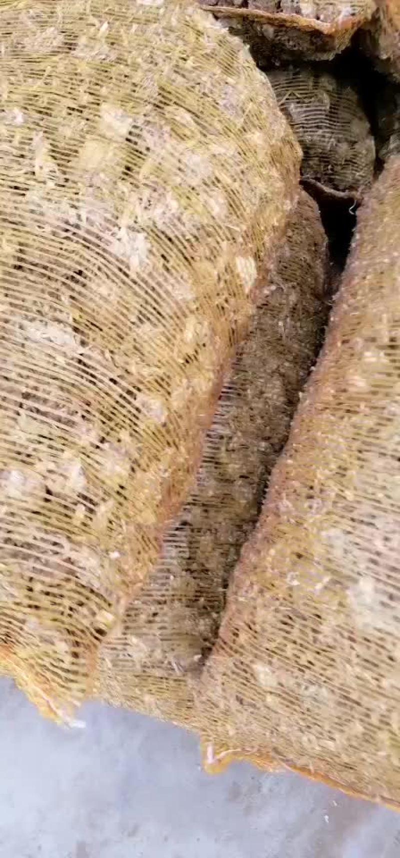 玉米秸秆草球大量出售玉米秸秆草球