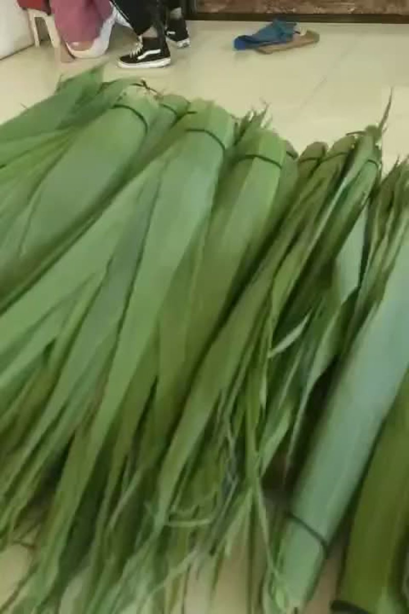 白洋淀粽叶