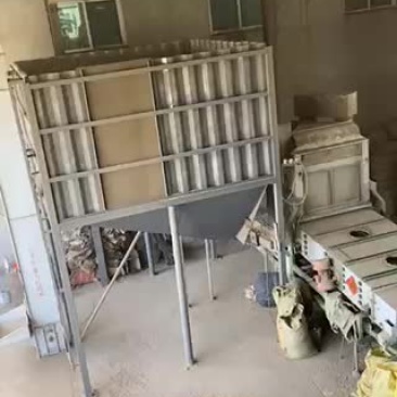 〈热销〉安徽本地精选黄豆，物美价廉