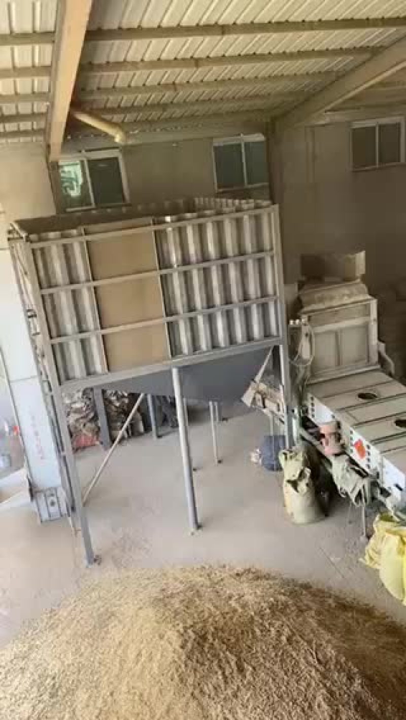 〈热销〉安徽本地精选黄豆，物美价廉