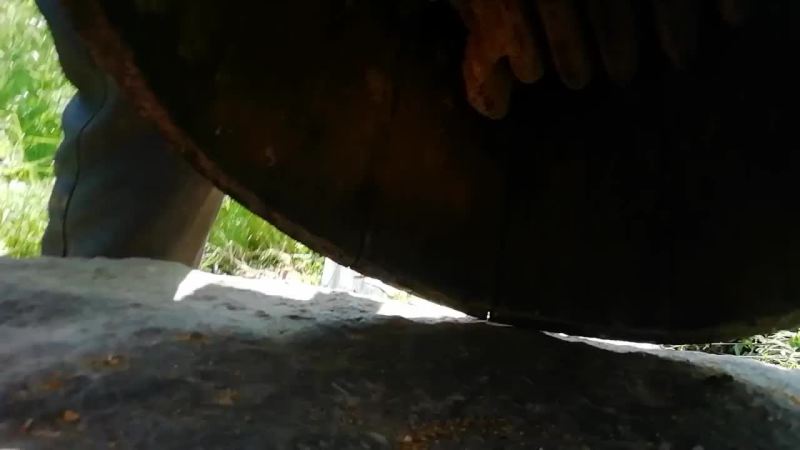 中蜂土蜂蜜